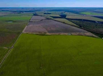 Campo · 370ha · 369 Has Agrícolas Arroceras, Depto. San Salvador
