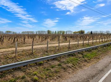 Terreno , Phillips · En Venta Finca de 73.9 Has en Philipps/ La Central - Rivadavia