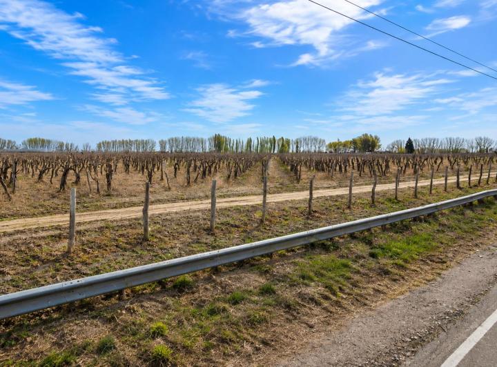 Terreno · 74ha