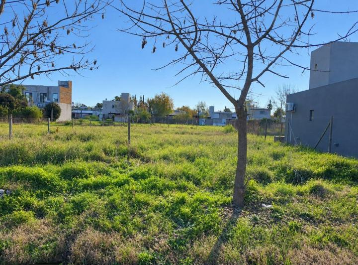 Terreno · 533m²