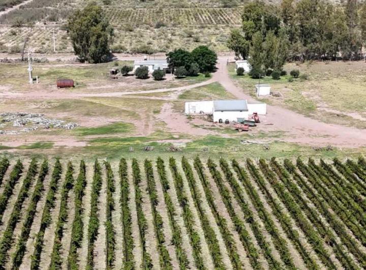 Campo · 170ha