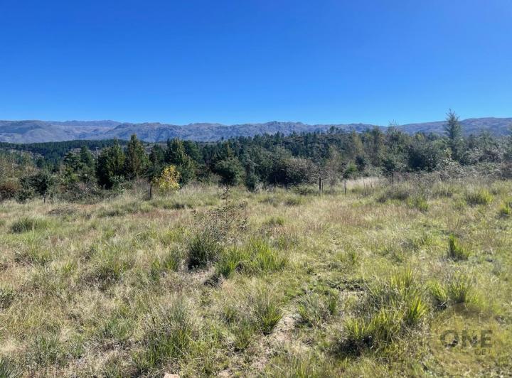 Terreno · 28688m²