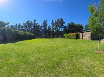 Terreno · 650m² · Terreno Lote en Venta en San Agustín, Villanueva, Tigre