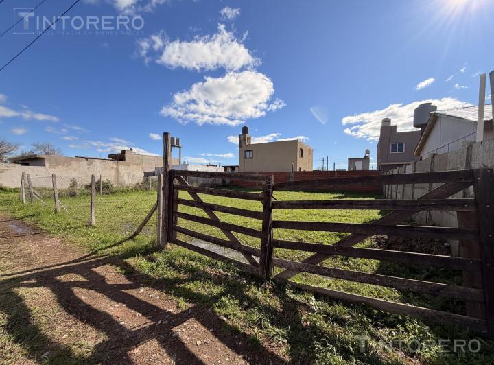 Terreno · 346m²