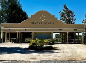 Terreno · 708m² · Venta Terreno Fincas Joven