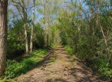 Campo · 80m² · 3 Ambientes · Campo en Venta 28has en Segunda Sección del Delta Ideal Inversión Desarrollo Náutico
