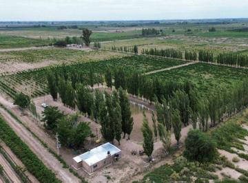 Campo , San Martín · Vende Finca de 45 Ha – Represa y Pozos - San Martín