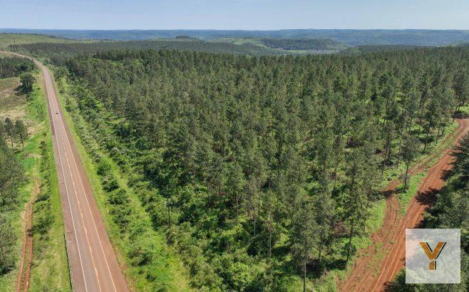 Campo · 7760000m²