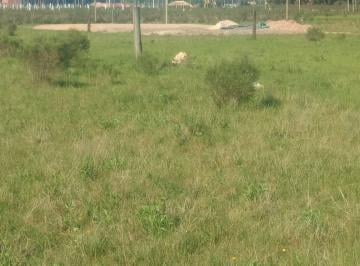 Terreno , La Plata · Terreno a Estrenar