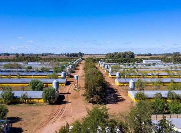 Campo · 54500m² · 10 Ambientes · Granja Avícola en Venta 30 Galpones en 25 de Mayo con 10 Casas Para Uso de Personal