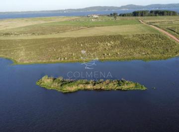 Foto1 · Chacra 5 Has 6000 m² en Laguna del Sauce