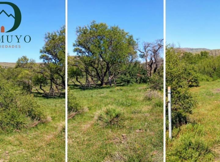 Terreno · 1313m²