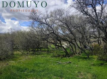 Terreno · 1000m² · Terreno El Lago Huechulafquen