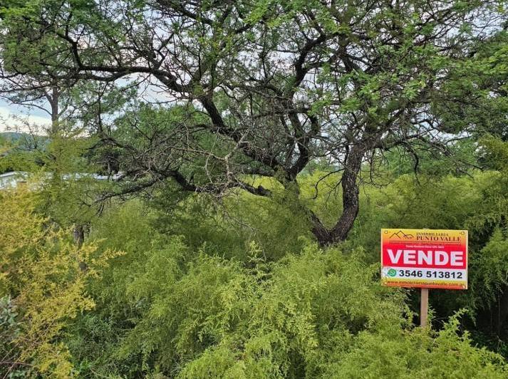 Terreno · 1255m²