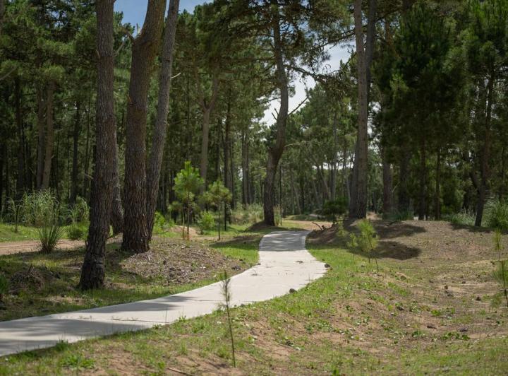 Terreno · 1065m²