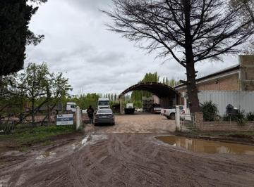 Bóveda, nicho o parcela · 67000m² · Venta Chacra con Frigorífico en Vista Alegre Norte Neuquen