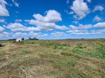 Campo · Campo en Venta. General Belgrano. Buenos Aires