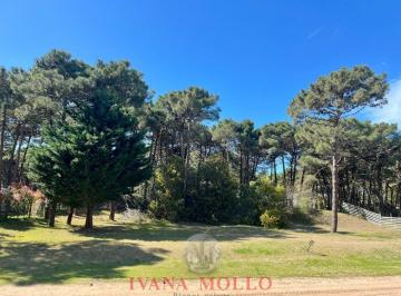 Terreno · 1m² · Lote en Venta en Solar del Norte Pinamar