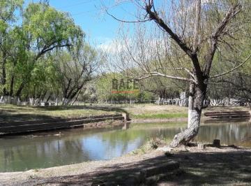 Campo · 300000m² · Venta! Inversion Asegurada: 30 Ha en Mainque con Todo El Potencial de Desarrollo - Mainque