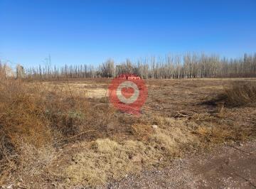 Terreno · 6ha · Terreno - Cipolletti
