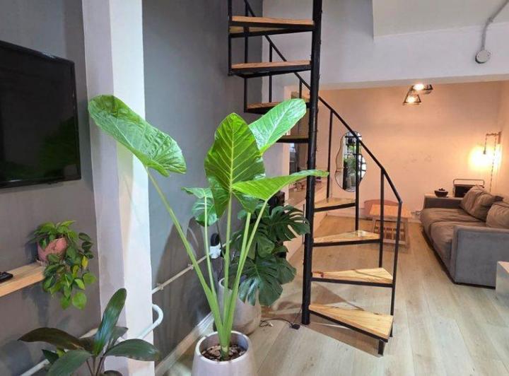 PH · 47m² · 2 Ambientes