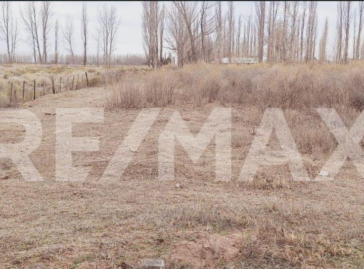 Campo · 40ha