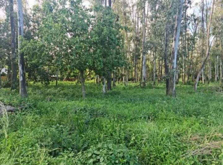 Terreno · 583m²