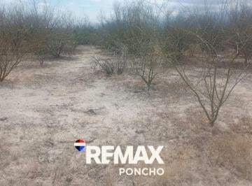 Campo · 71ha · Venta Campo Natural Depto Poman Ruta 25