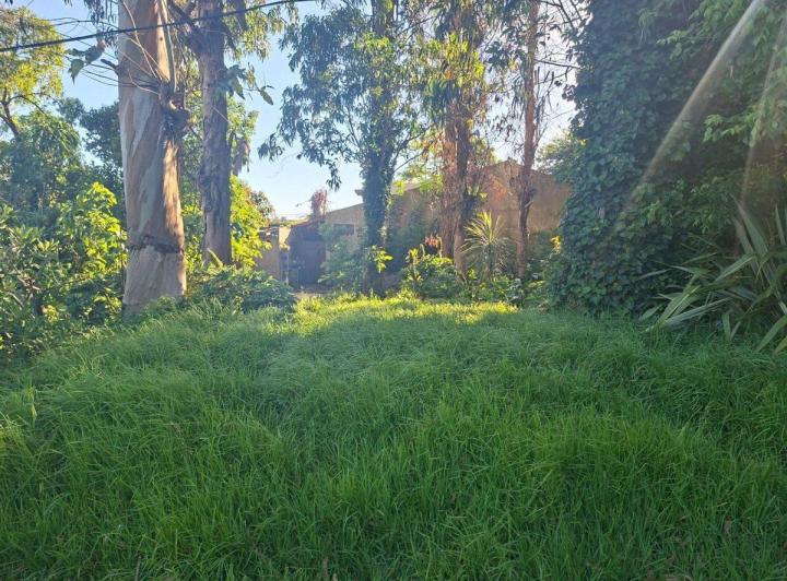 Terreno · 370m²