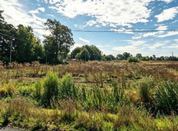 Terreno · 313m² · Lote en Venta San Carlos Ideal Constructor