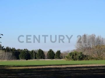 Terreno · 11377m² · Propiedad 82528