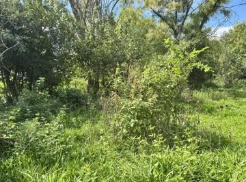 Terreno · 1054m² · Terreno en Venta – Andino