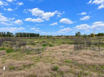 Terreno · 250m² · Terreno en Venta en La Rufina I en Cervantes