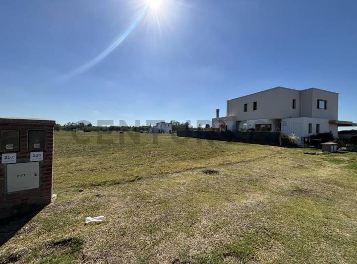 Terreno en venta en Bella Vista