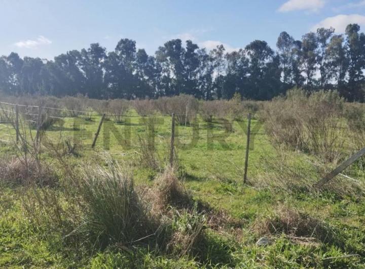 Terreno · 5000m²