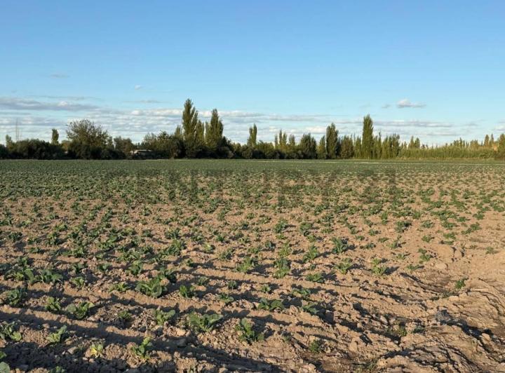 Terreno · 6m²