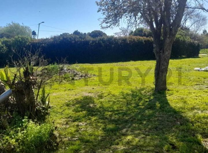 Terreno · 342m²