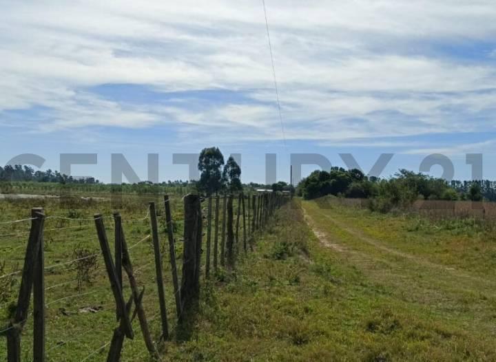Terreno · 90m² · 2 Ambientes