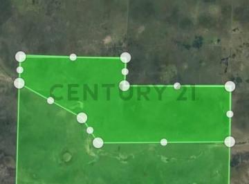 Terreno · 4750m² · Venta Campo 4750 Has a 50 Km de San Cristóbal