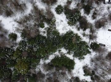 Terreno · 120000m² · Venta Terreno San Martin de Los Andes. 12 Ha.
