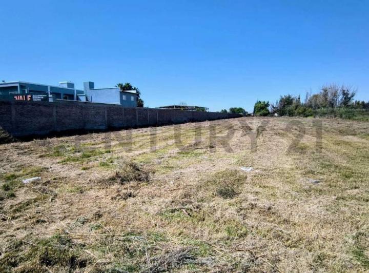 Terreno · 8800m²