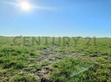 Terreno · 1779m² · Campo Mixto en Cañada de Los Leones
