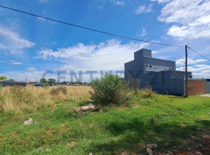 Terreno · 320m²