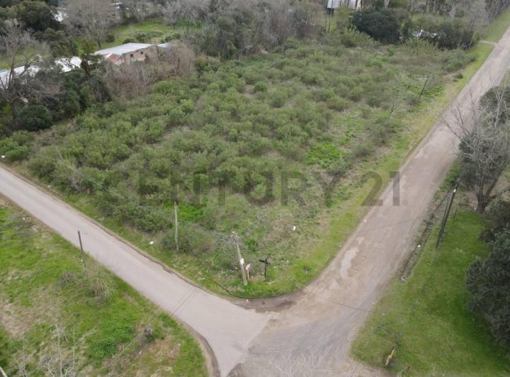Terreno · 6393m²