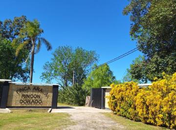 Terreno · 1033m² · Lote de 1033 m² con Pileta y Galería en Condominio Finca Rincón Dorado - Arana
