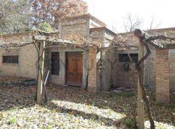 Terreno · 6m² · Finca con Nogales – Perdriel – Luján de Cuyo