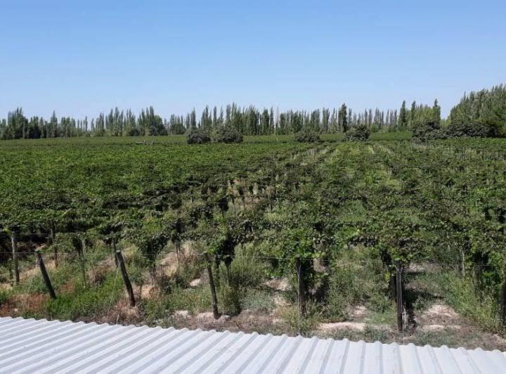 Terreno · 50m²