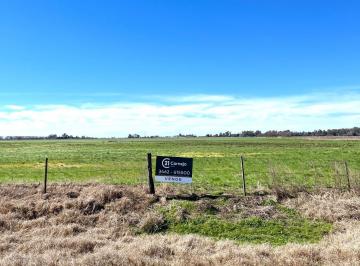 Terreno · 13m² · Campo 13,5 Ha - Venado Tuerto