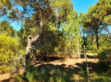 Terreno · 2000m² · Venta Lote Las Gaviotas Frente a Mar de Las Pampas Costa Atlantica