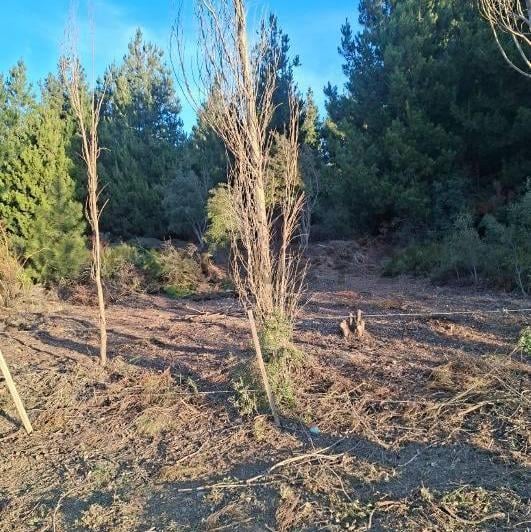 Terreno · 350m²